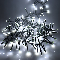 100 LED Christmas Light Cool White Xmas String Lights